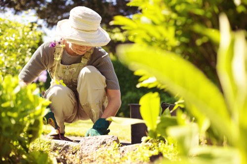 Accessible tree surgeon website content for Stjohnswood