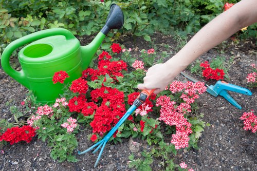 Professional stump grinding service preparing a garden for replanting in Stjohnswood