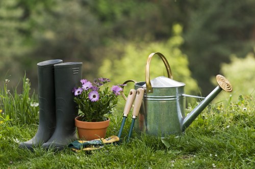 Free quote policy for tree surgery pricing in Stjohnswood