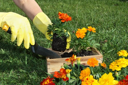 Stump grinding and final tree care in a landscaped property