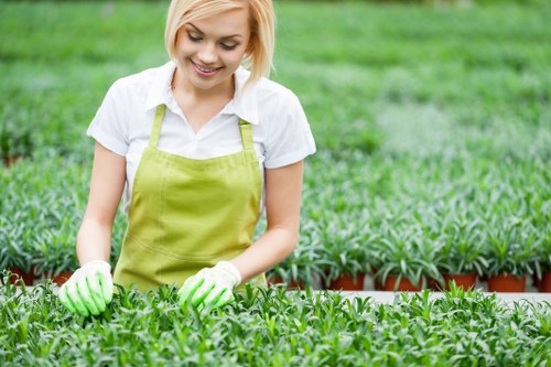 Supplier audit and compliance review in a professional arborist business