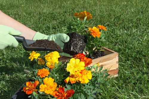 Arborist assessing tree health in an urban garden